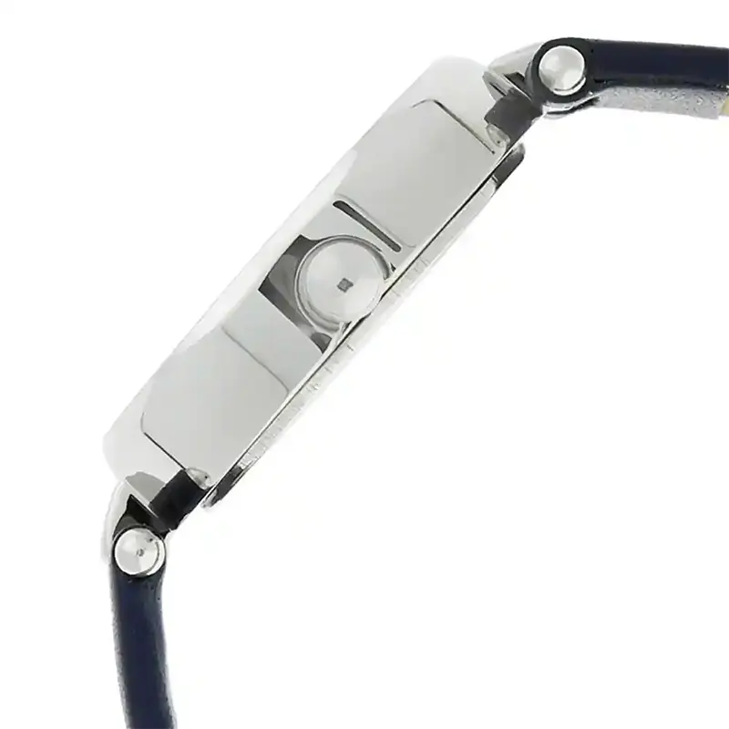 Titan 2579SL01 Raga Viva Silver Dial Ladies Watch