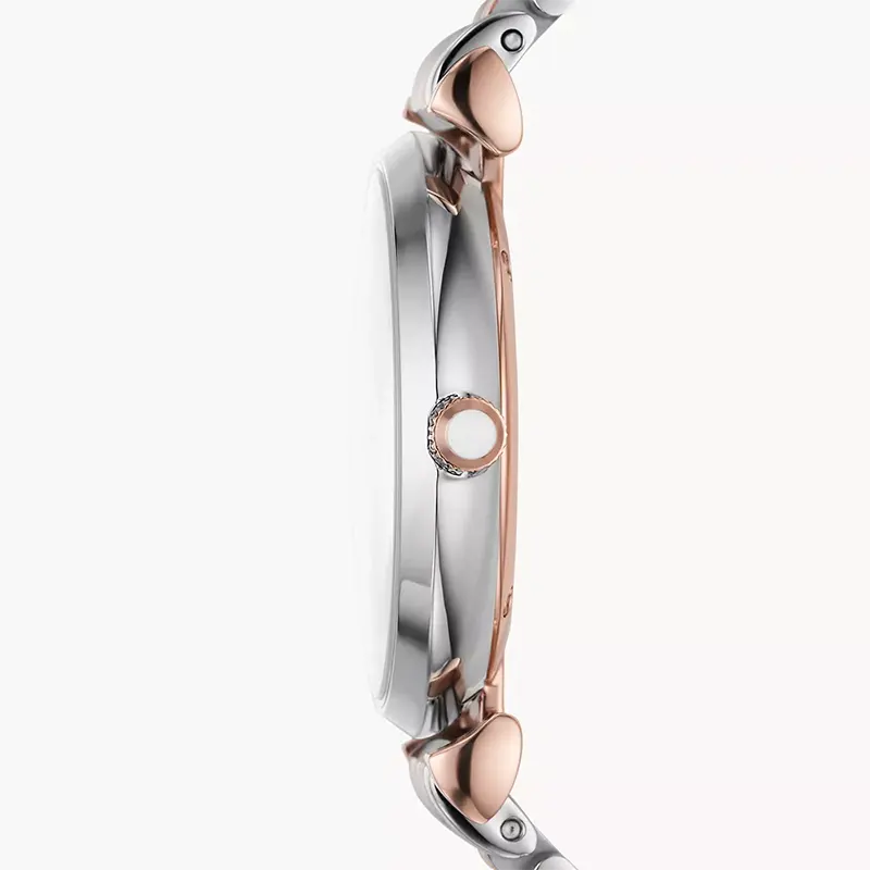 Emporio Armani Silver Dial Two-tone Ladies Watch | AR11537