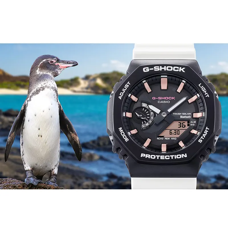 Casio G-Shock 'Galápagos and Charles Darwin Foundation' Watch | GA-B2100CD-1A7
